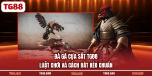 Đá Gà Cựa Sắt TG88 Luật Chơi Và Cách Bắt Kèo Chuẩn