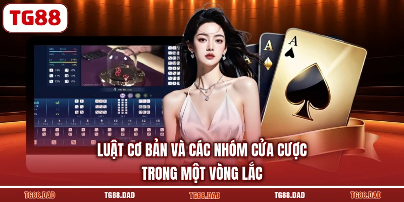 Luật cơ bản và các nhóm cửa cược trong một vòng lắc