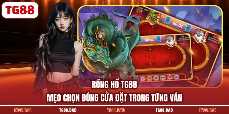 Rồng Hổ TG88 Mẹo Chọn Đúng Cửa Đặt Trong Từng Ván