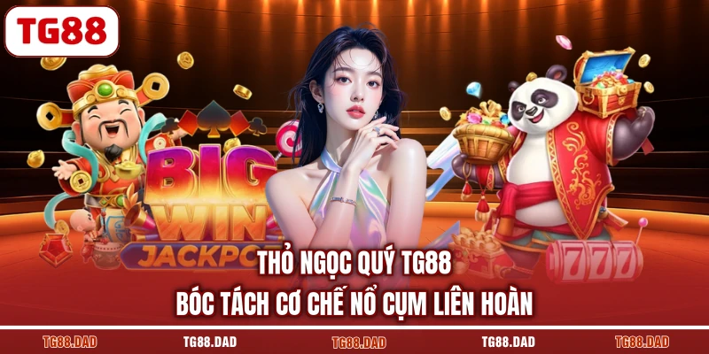 Thỏ Ngọc Quý TG88 Bóc Tách Cơ Chế Nổ Cụm Liên Hoàn