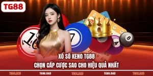 Xổ Số Keno TG88 Chọn Cấp Cược Sao Cho Hiệu Quả Nhất