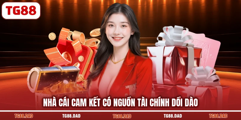 Nhà cái cam kết có nguồn tài chính dồi dào